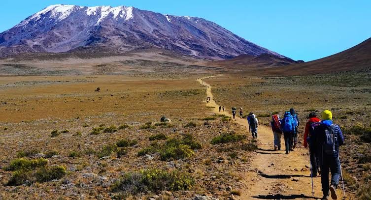 Machame at glance