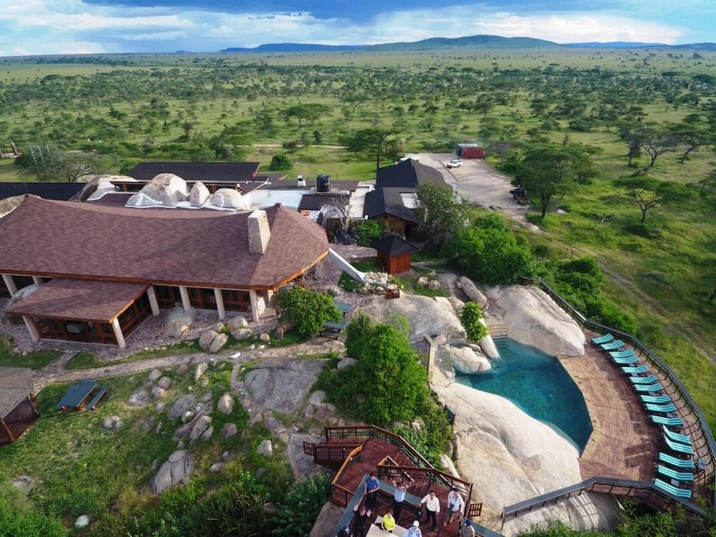 IN THE SERENGETI NATIONAL PARK AND THE MASAI MARA GAME RESERVE