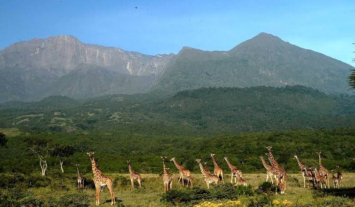 Mount Meru