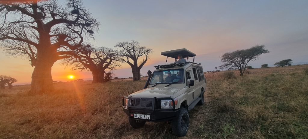 southern serengeti (ndutu national park )