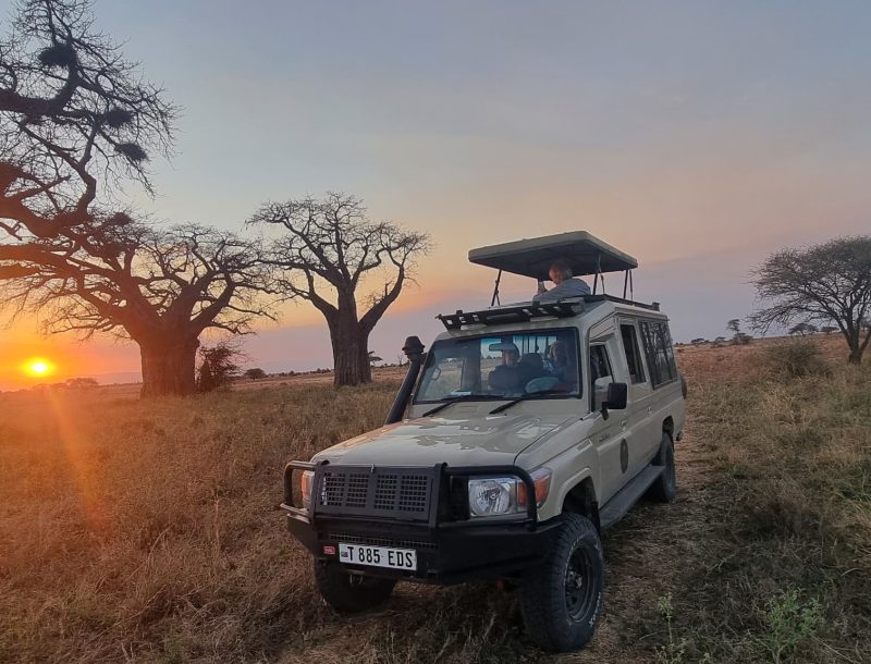 southern serengeti (ndutu national park )
