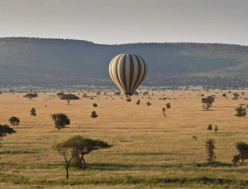 Balloon Safaris