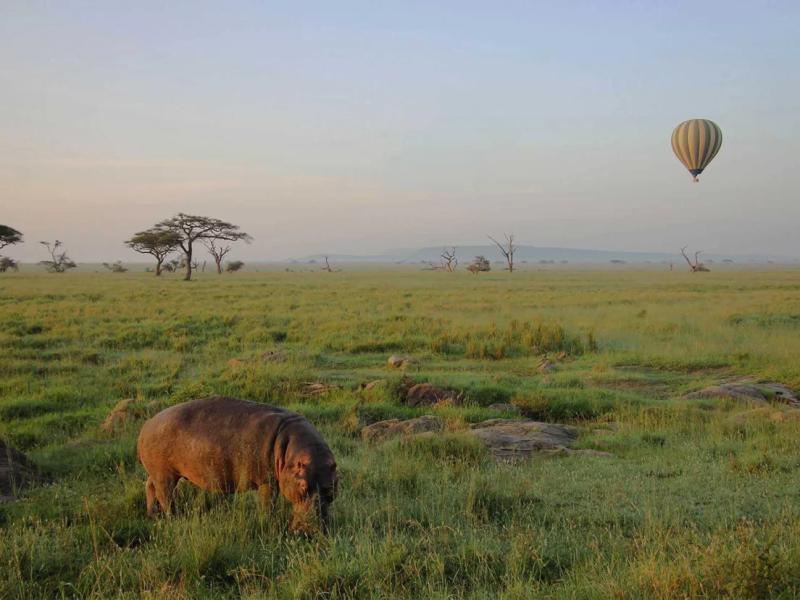 Balloon Safaris Tanzania