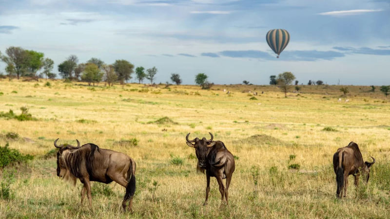 Balloon Safaris Tanzania